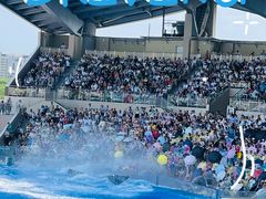 -上海海昌海洋公园