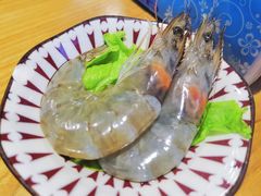 -铭记蛙小仙·活蛙畅享(CBD万达广场店)