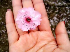 -白塘生态植物园