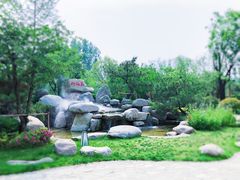 -思念果岭悦温泉