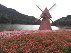-广州市石门国家森林公园
