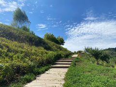 -南泥湾风景区