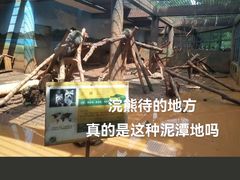 -昆明动物园
