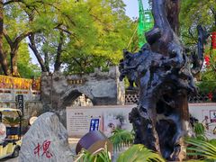 -大槐树寻根祭祖园