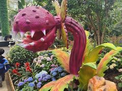 -沈阳植物园