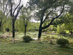 -孝子祠公园