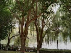 -西安汉城湖景区