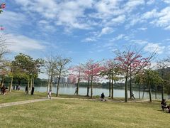 -顺峰山公园