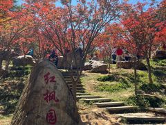 -广州市帽峰山景区