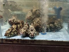 -阿伟海鲜楼·福建菜(延寿店)