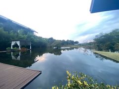 -龙吟九品(青龙山庄店)