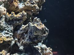 -海合安武汉极地海洋公园