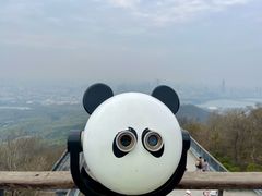 -紫金山山顶公园