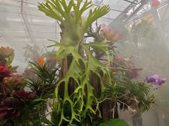 -国家植物园南园