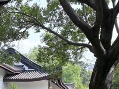 -范蠡湖公园