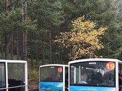 -白草畔自然风景区