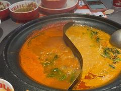 -生活如沸·顺德水牛奶火锅(大学路店)