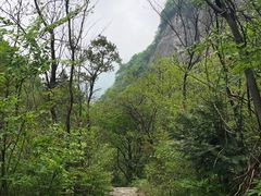 -秦岭终南山世界地质公园翠华山景区