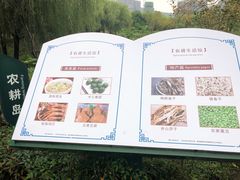 -长兴太湖图影湿地文化园