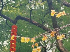 -杭州上天竺法喜讲寺