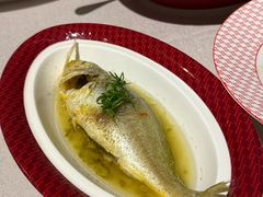 清蒸小黄鱼-圆苑(兴国路店)