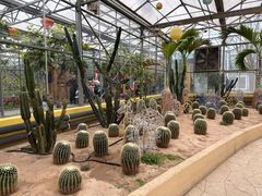 -南宫五洲植物乐园