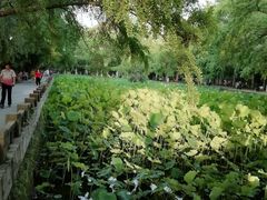 -四川大学(华西校区)