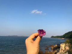 -杨梅坑