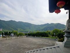 -大唐贡茶院