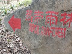 -中国科学院西双版纳热带植物园