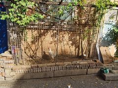 -日本风情街