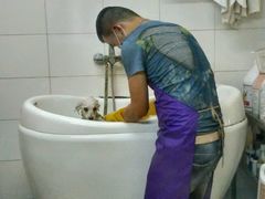 -喵宠乐园·撸猫互动·猫舍