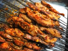 -清真·马峰烤肉(小学习北巷店)