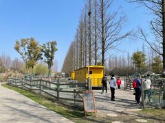 -前小桔亲子创意农场·草莓采摘·露营烧烤