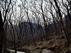 -封龙山风景区