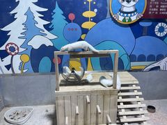 -海合安青岛极地海洋公园