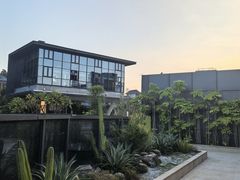 -金鸡山公园