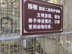 -水绘园