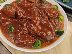 -丁老爷子苏香圆