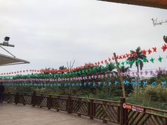 -泉州海丝野生动物世界