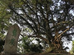 -鹅岭公园瞰胜楼