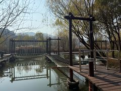 -长兴太湖图影湿地文化园