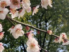 -钟山体育运动公园