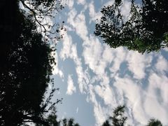 -秋霞圃