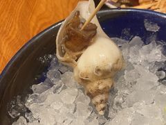 -松涛日本料理