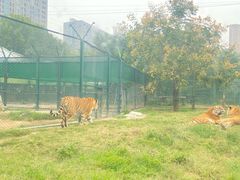 -郑州市动物园