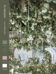 -DC大蔡婚礼策划(李公堤店)