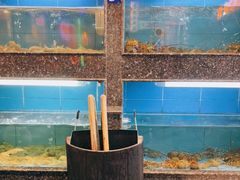 水产区-王庄阿咪海鲜大排档(象园店)
