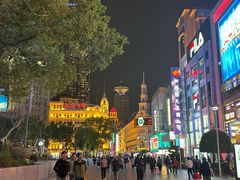 -上海大酒店(南京东路店)