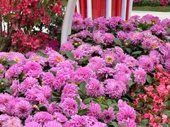 -广州市白云山风景名胜区